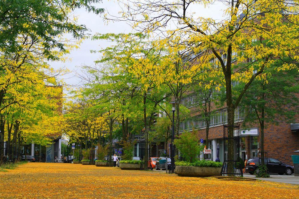Essen City Suites Eksteriør bilde